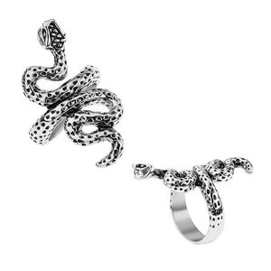 Patinovaný prsteň z ocele, strieborná farba, zvlnený had s bodkami - Veľkosť: 63 mm