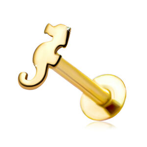 Piercing do pery a brady z 9K žltého zlata - motív morského koníka