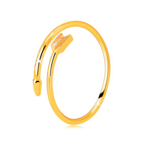 Prsteň zo žltého 14K zlata - zatočený šíp, rozpojené ramená prsteňa - Veľkosť: 52 mm